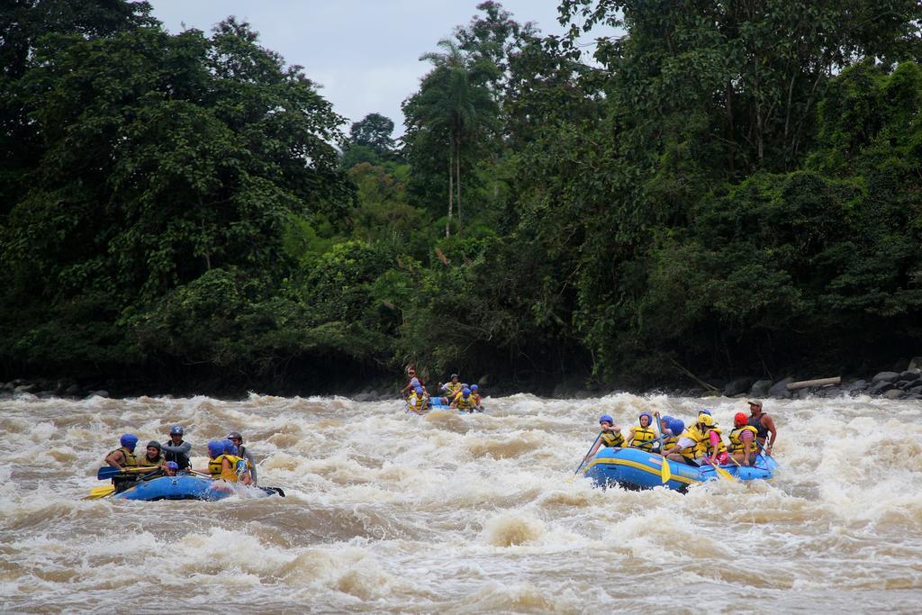 Kashama Eco Resort & Spa Santo Domingo de los Colorados Rum bild